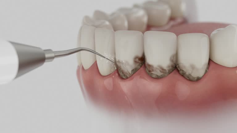 Reliable Dental contractor in Rocky Mount, VA by Dentist Open Now